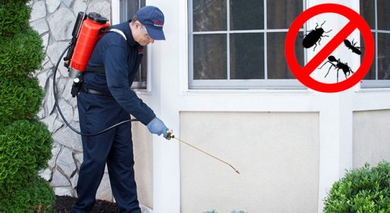 Yunusemre Dezenfeksiyon böcek ilaçlama ve haşere kontrolü — ilaclama-tr.com